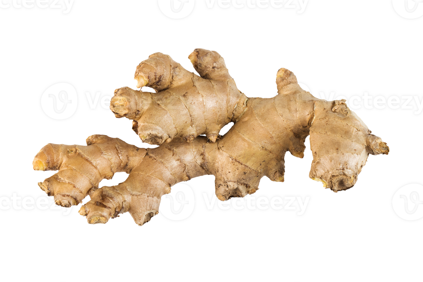 Ginger PNG image. Vegetables on a transparent background