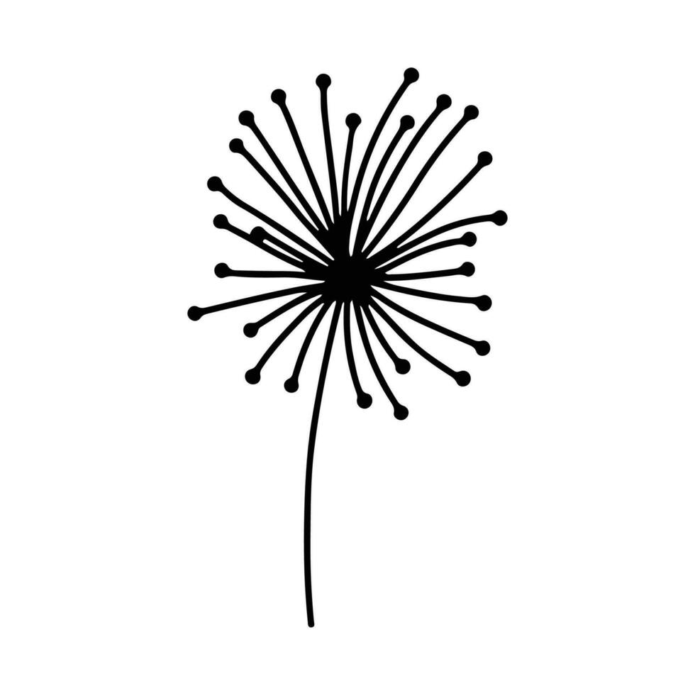 Dandelion flower silhouettes. Spring season blooming blowball flowers doodles vector illustration. Dandelion fluffy nature silhouette