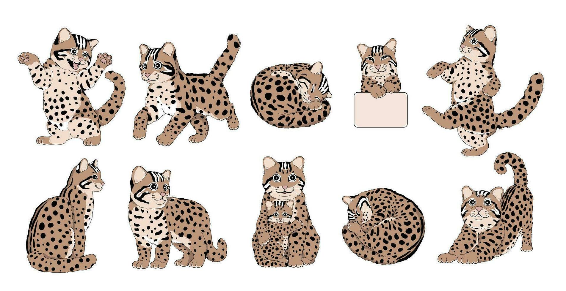 Set of Endangered Leopard Cat, an Endemic Species in Asia - Animal Character Design with Flat Colors in Various Poses, Isolated on White Background. vector