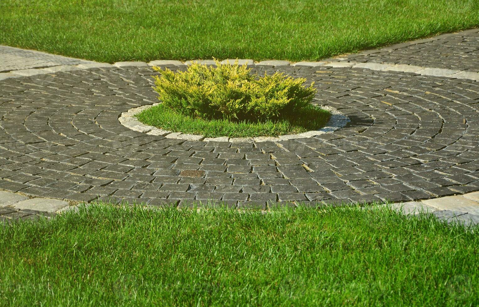 A beautiful new walkway made of paving stone is located among the green grass photo