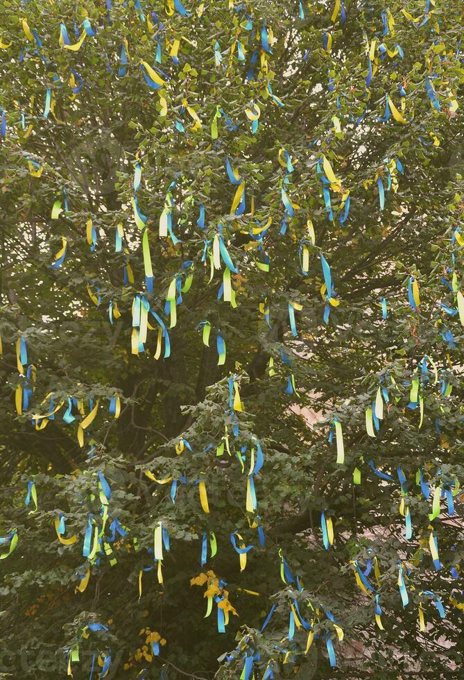 A lot of ribbons in the colors of the Ukrainian national flag adorn the branches of a tree. Performance for EuroMaidan photo