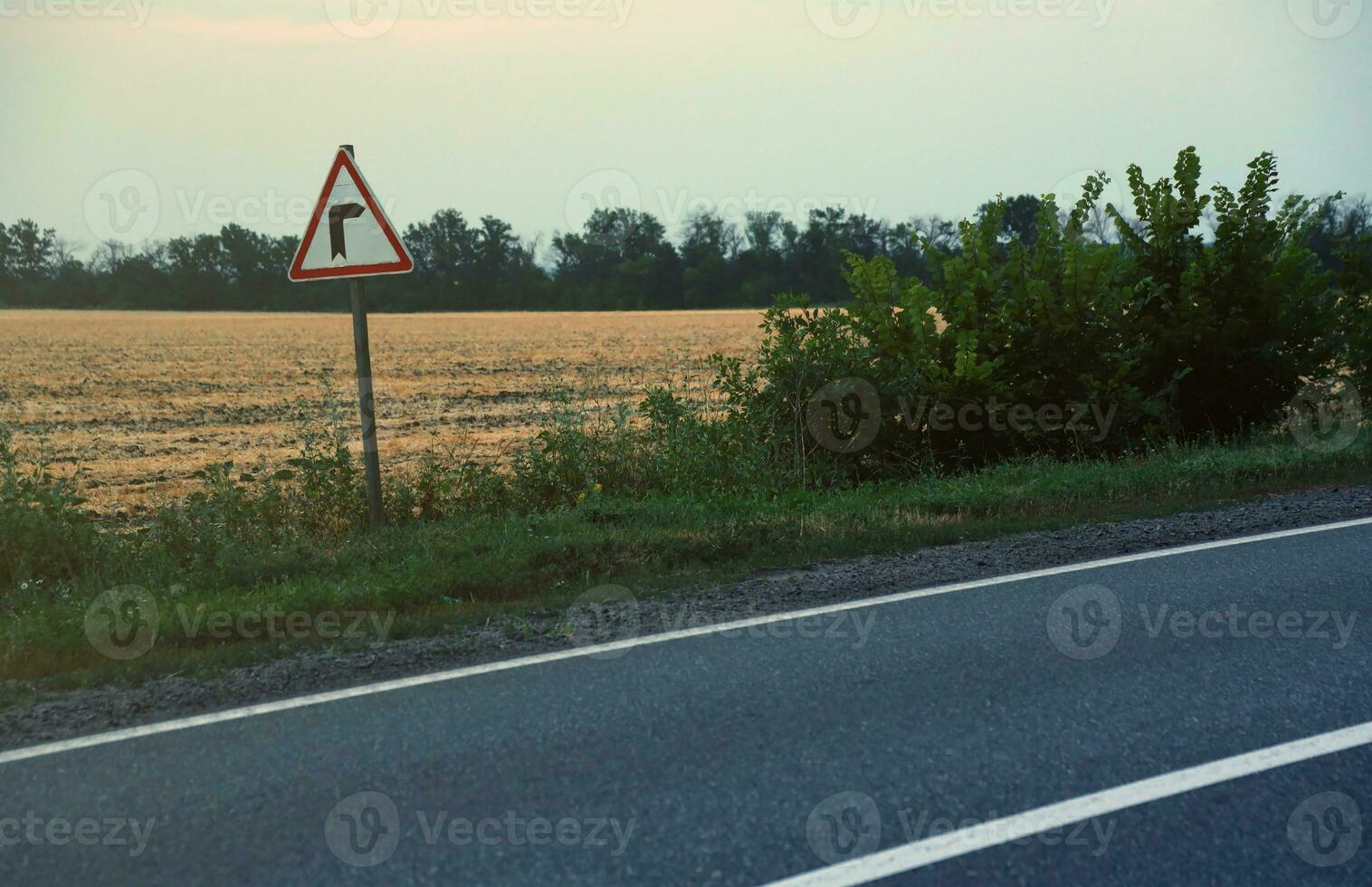Empty asphalt road and floral field of different grass and flowers in evening time photo