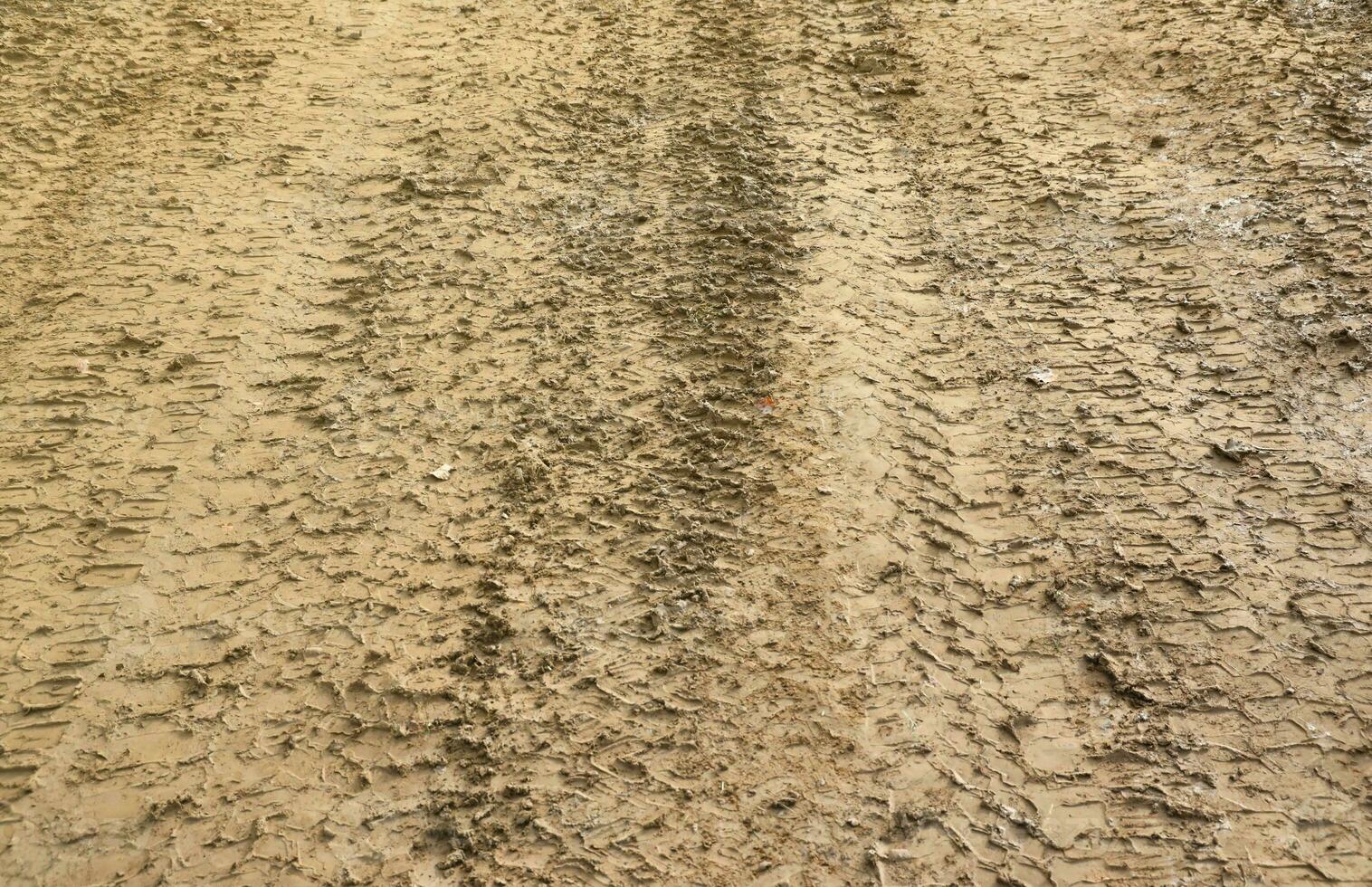 Wheel track on mud. Traces of a tractor or heavy off-road car on brown mud in wet meadow photo