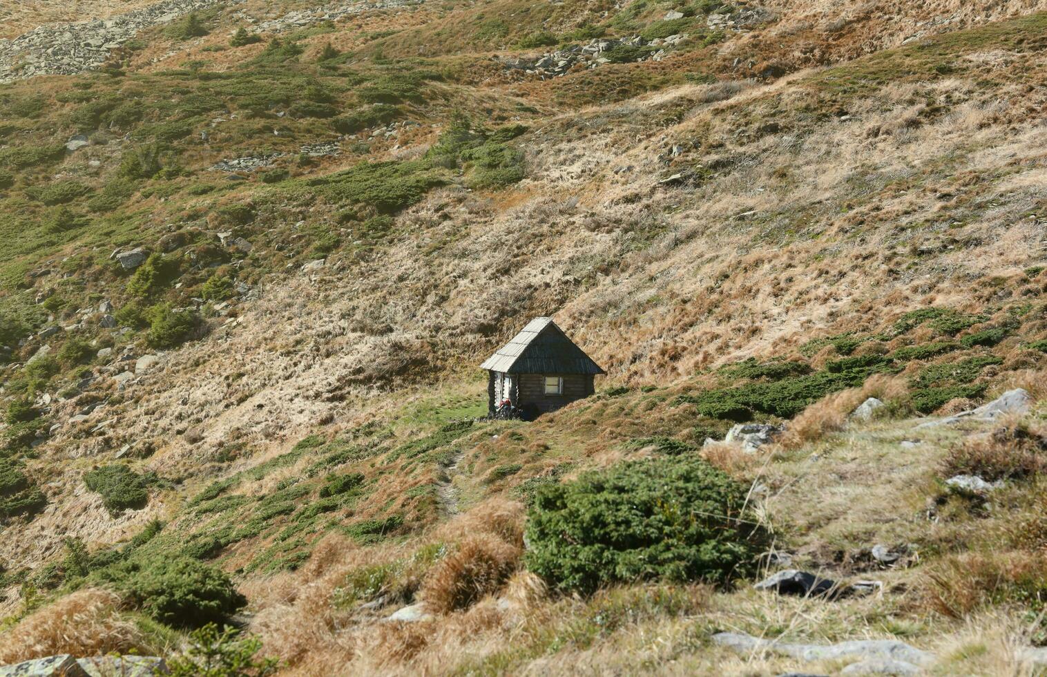 Single wooden hut on hilly mountains terrain with fir trees and rough relief. Coniferous forest in the foreground. Tourism, travel photo