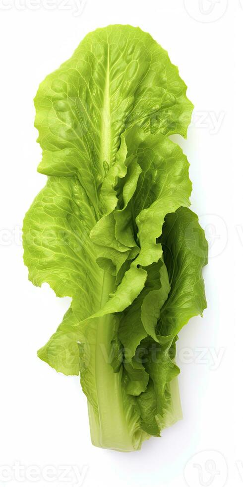AI generated Lettuce isolated on white background. AI Generated photo