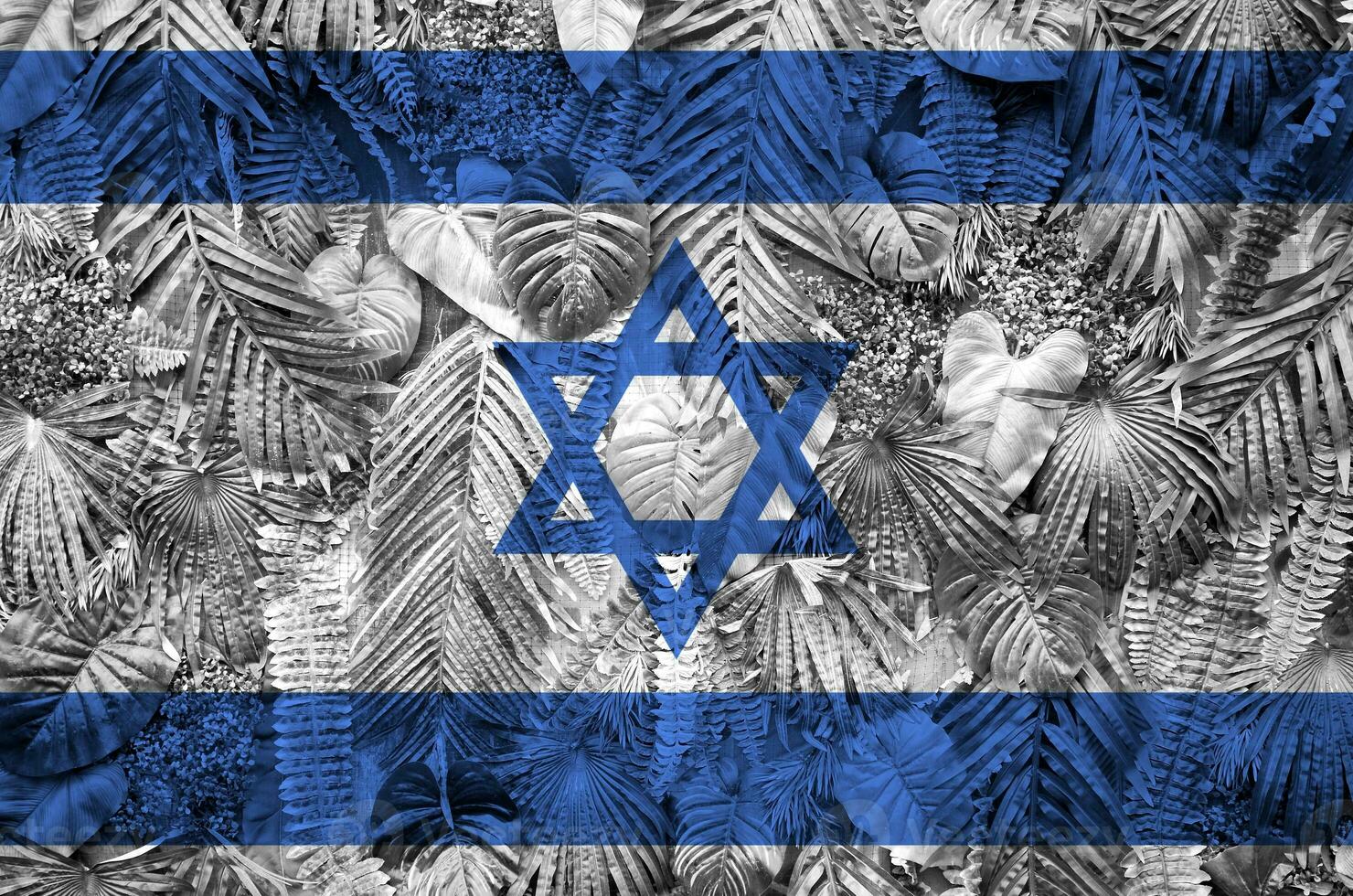 Israel flag depicted on many leafs of monstera palm trees. Trendy fashionable backdrop photo