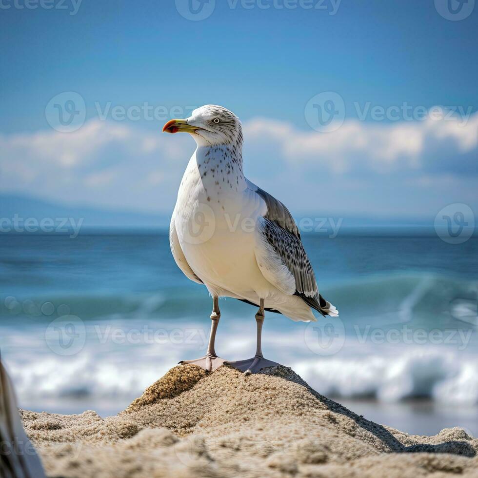 AI generated Seagull on the beach under blue sky. photo