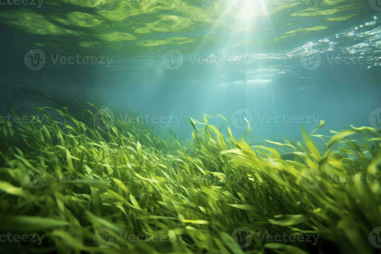 AI generated Underwater view of a group of seabed with green seagrass. AI Generated photo