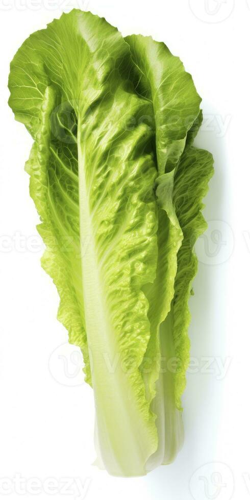 AI generated Lettuce isolated on white background. AI Generated photo