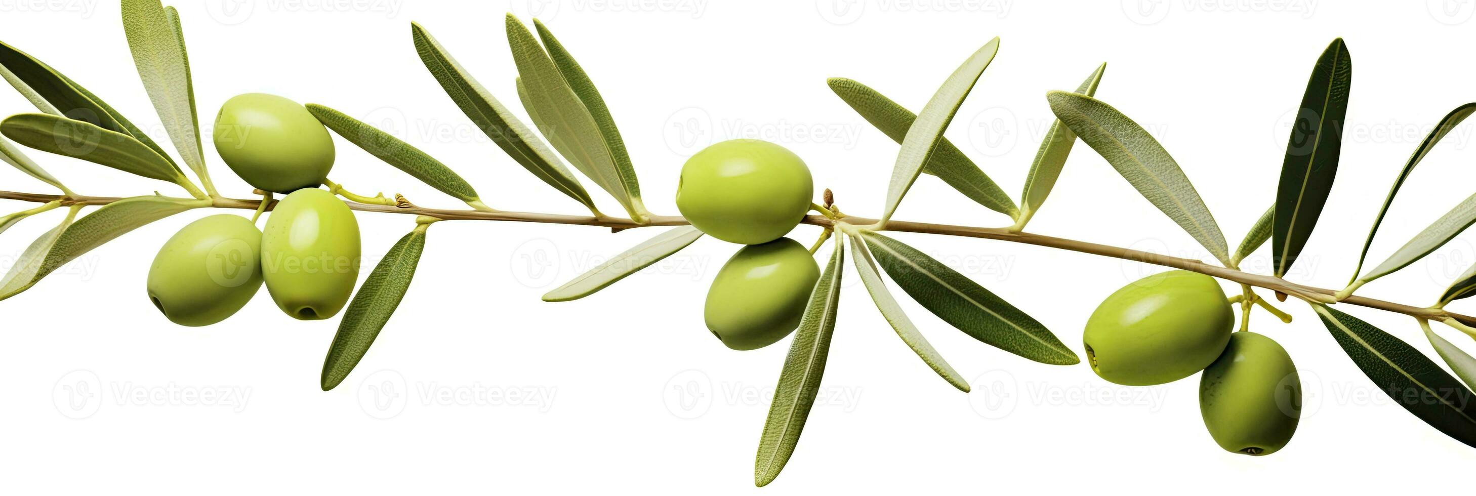 AI generated Olive tree branch, green olives and leaves on white background. AI Generated. photo