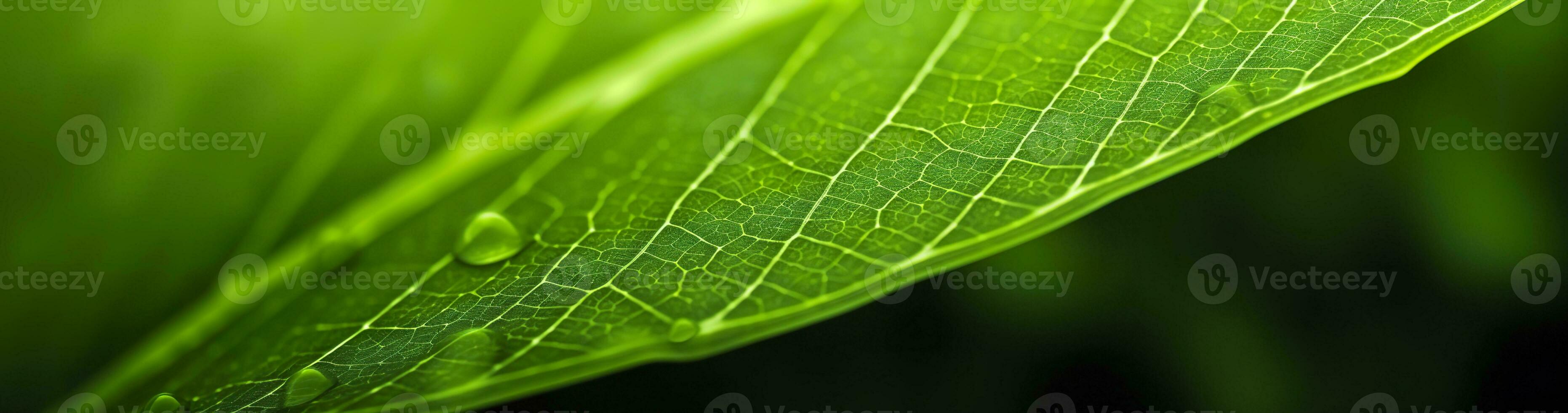 AI generated Green leaf nature background. AI Generated photo