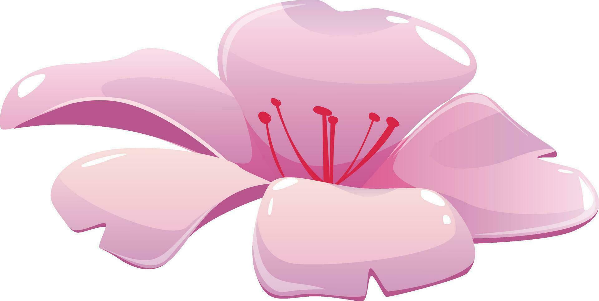 soltero japonés Cereza flor, sakura, rosado flor, sakura flor, primavera árbol flores, vector