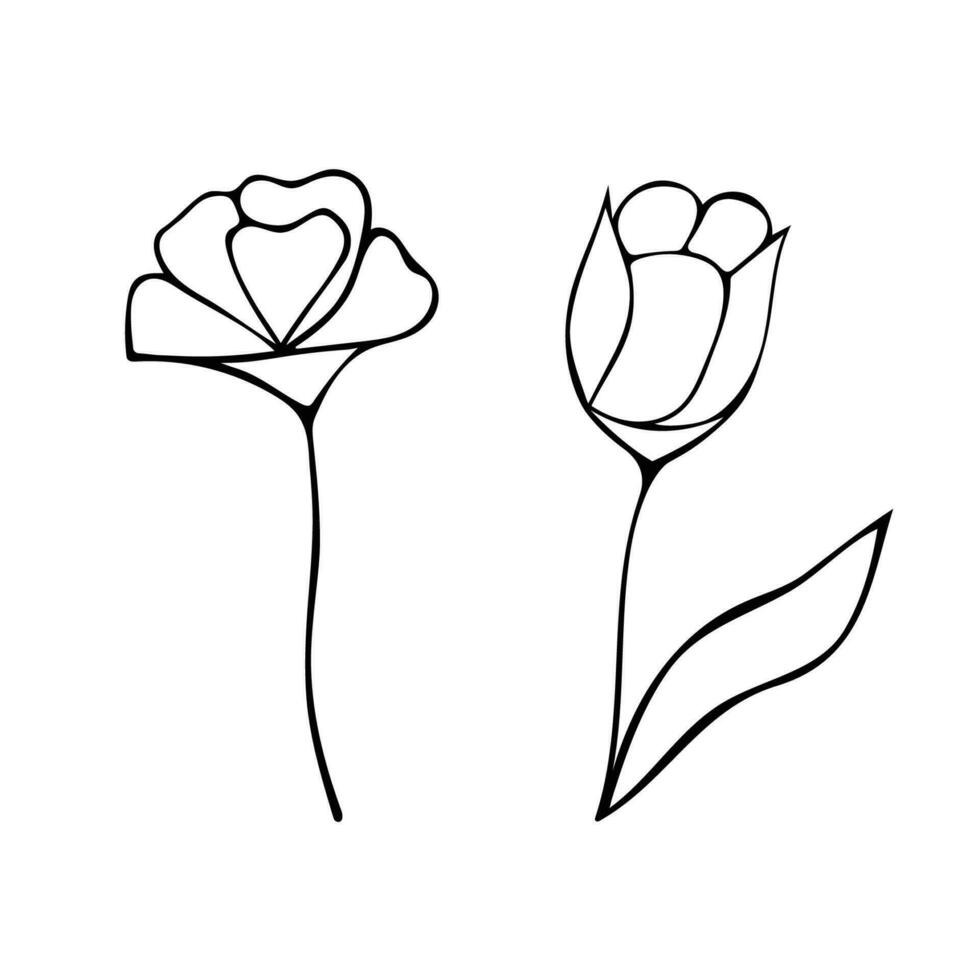 Black and white sketch of Eustomas and tulips on a white background. vector