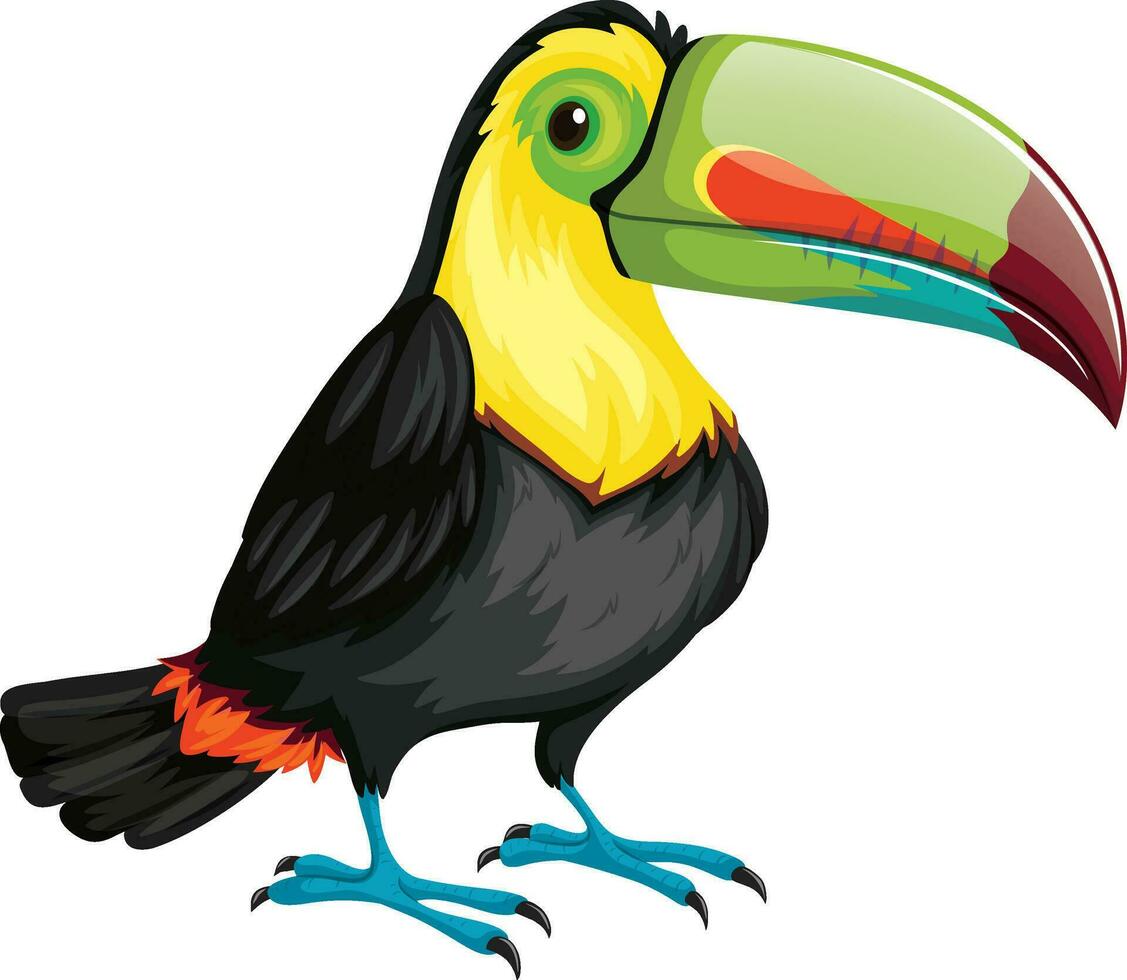 toucan bird animal character cartoon vector