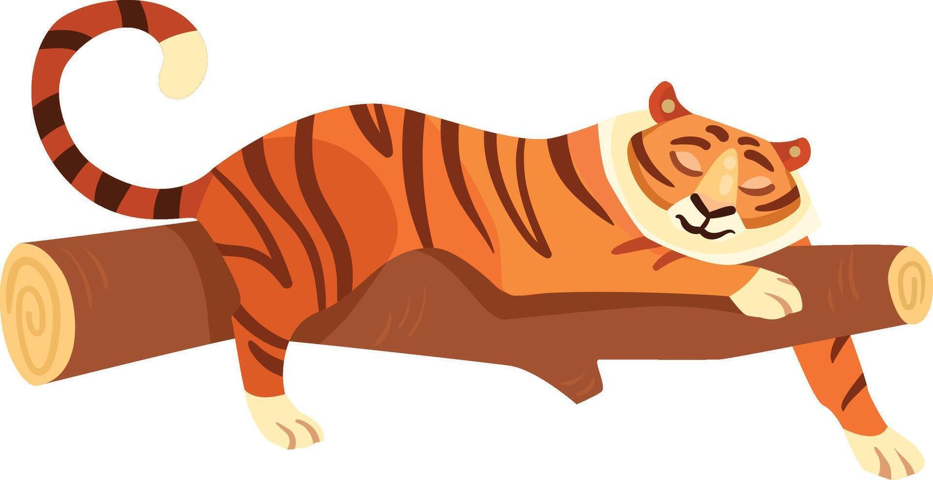 Tiger is lying Tiger is lying vector