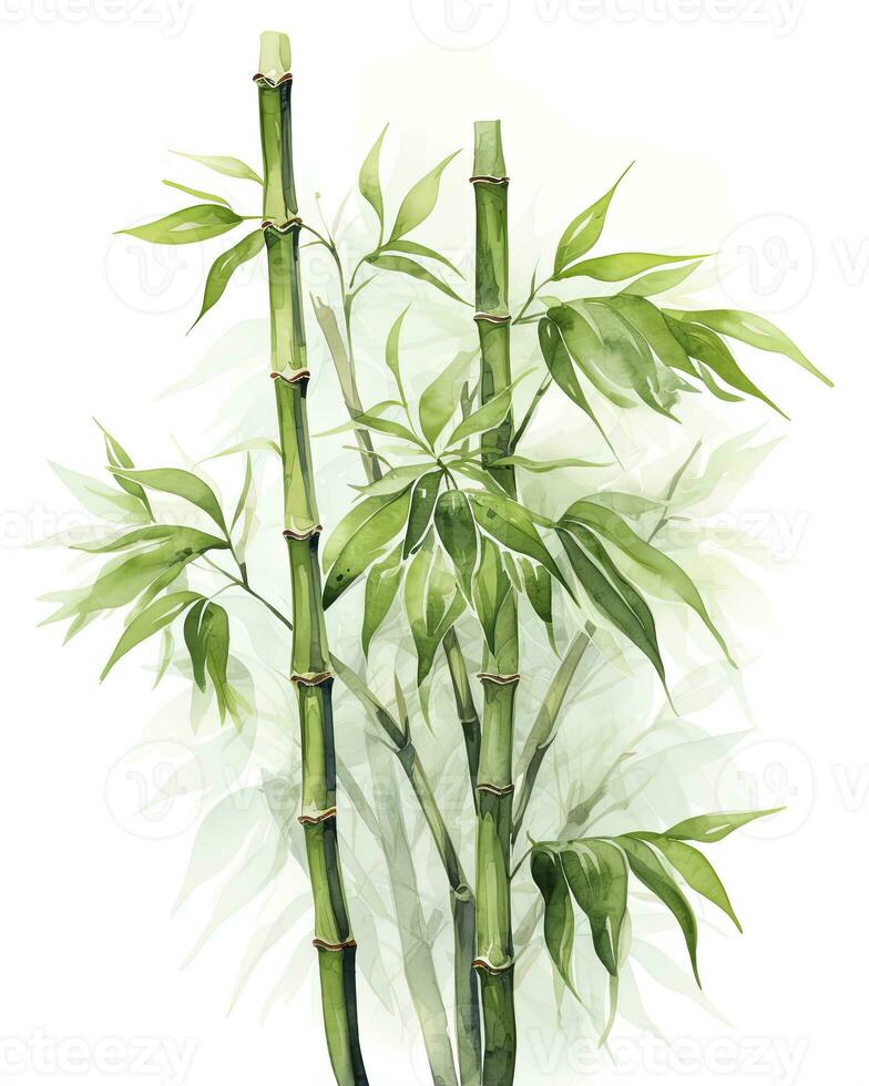 AI generated Watercolor bamboo clipart isolated on white background. AI Generated photo