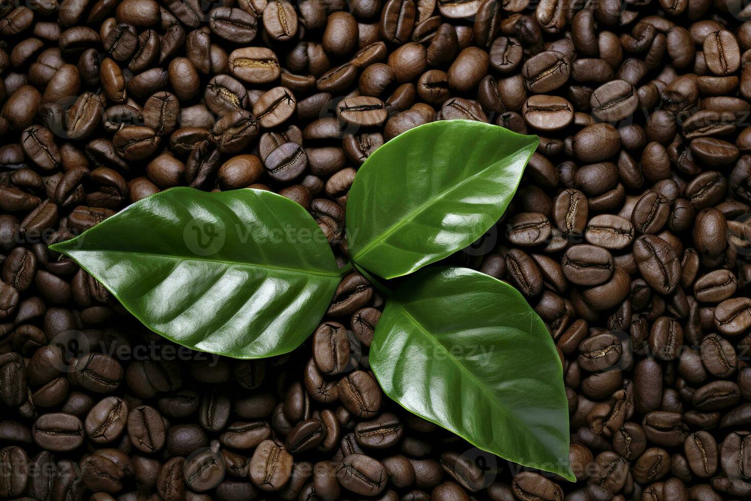 AI generated Green leaves with coffee beans as background. AI Generated photo
