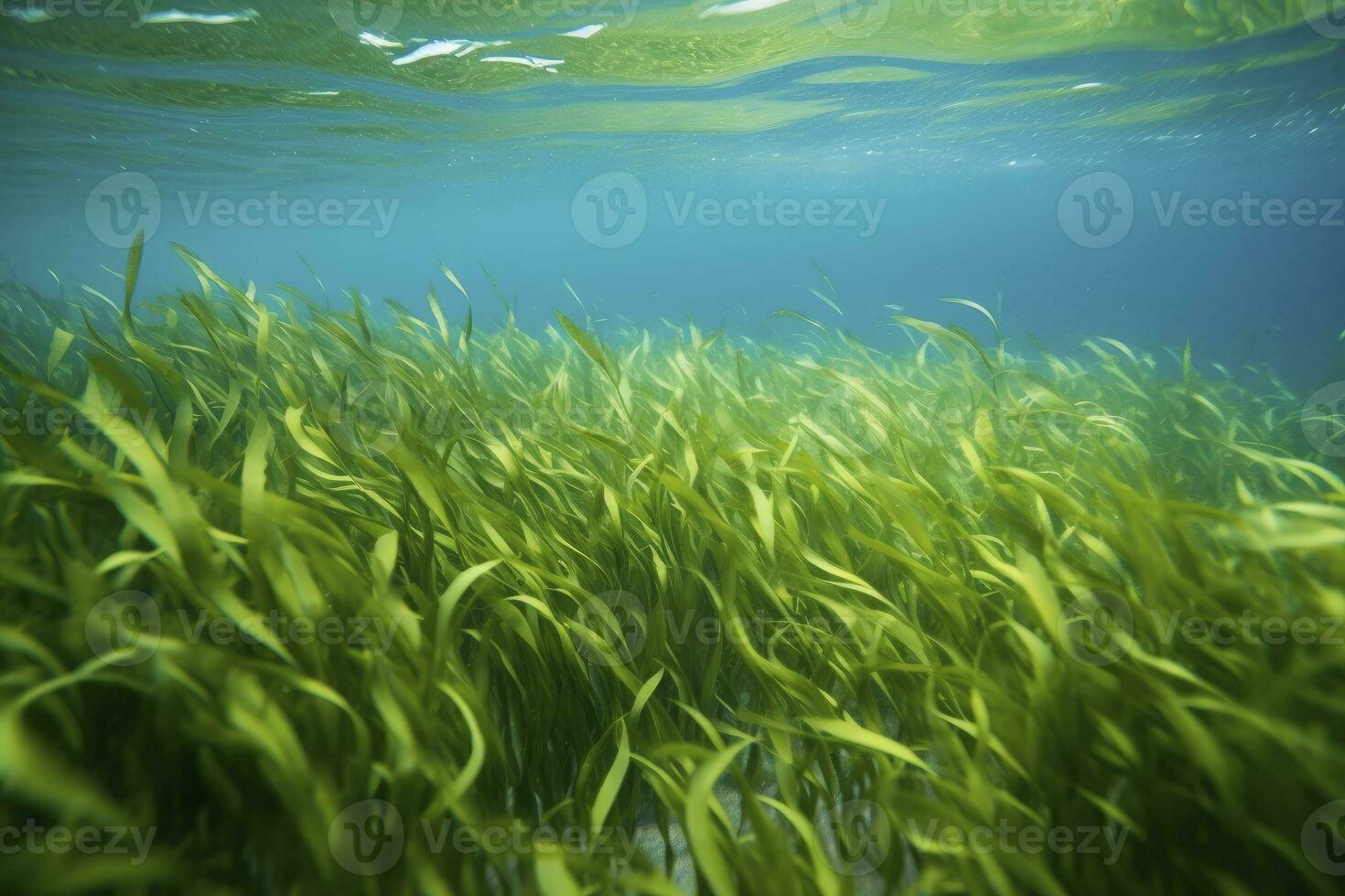 AI generated Underwater view of a group of seabed with green seagrass. AI Generated photo