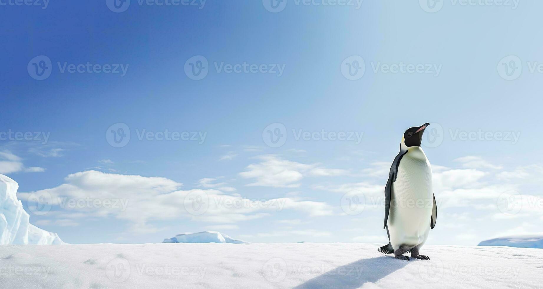 AI generated Penguin standing in Antarctica looking into the blue sky. AI Generated photo