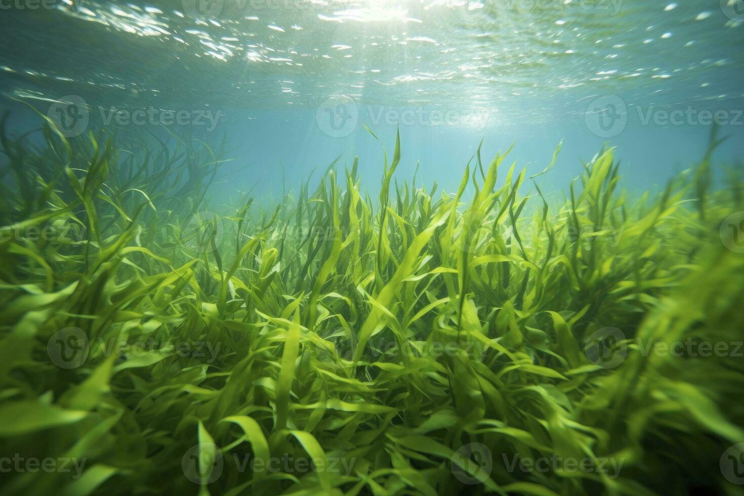 AI generated Underwater view of a group of seabed with green seagrass. AI Generated photo