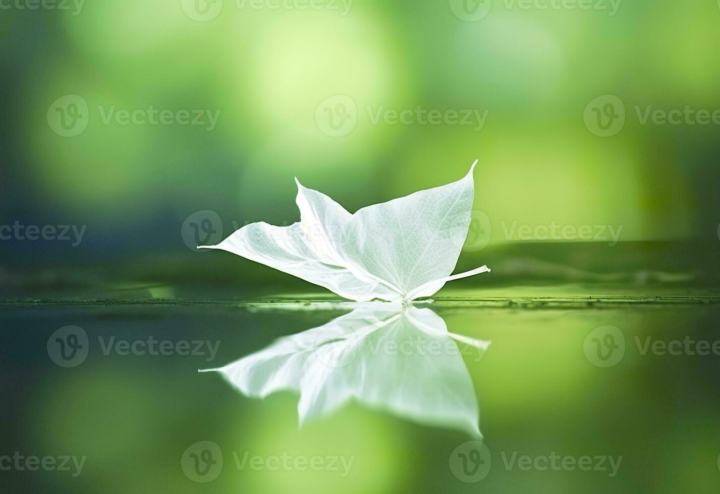 AI generated White transparent leaf on mirror surface with reflection on green background macro. Generative AI photo