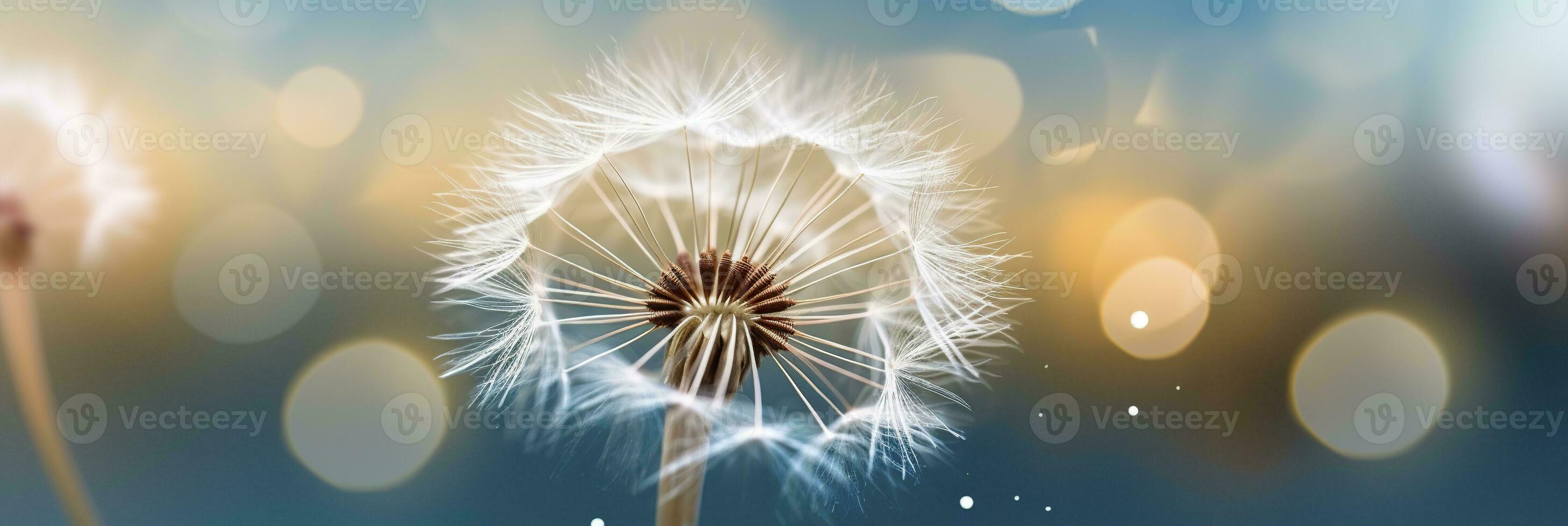 AI generated Abstract blurred nature background dandelion seeds parachute. Bokeh pattern. Generative AI photo