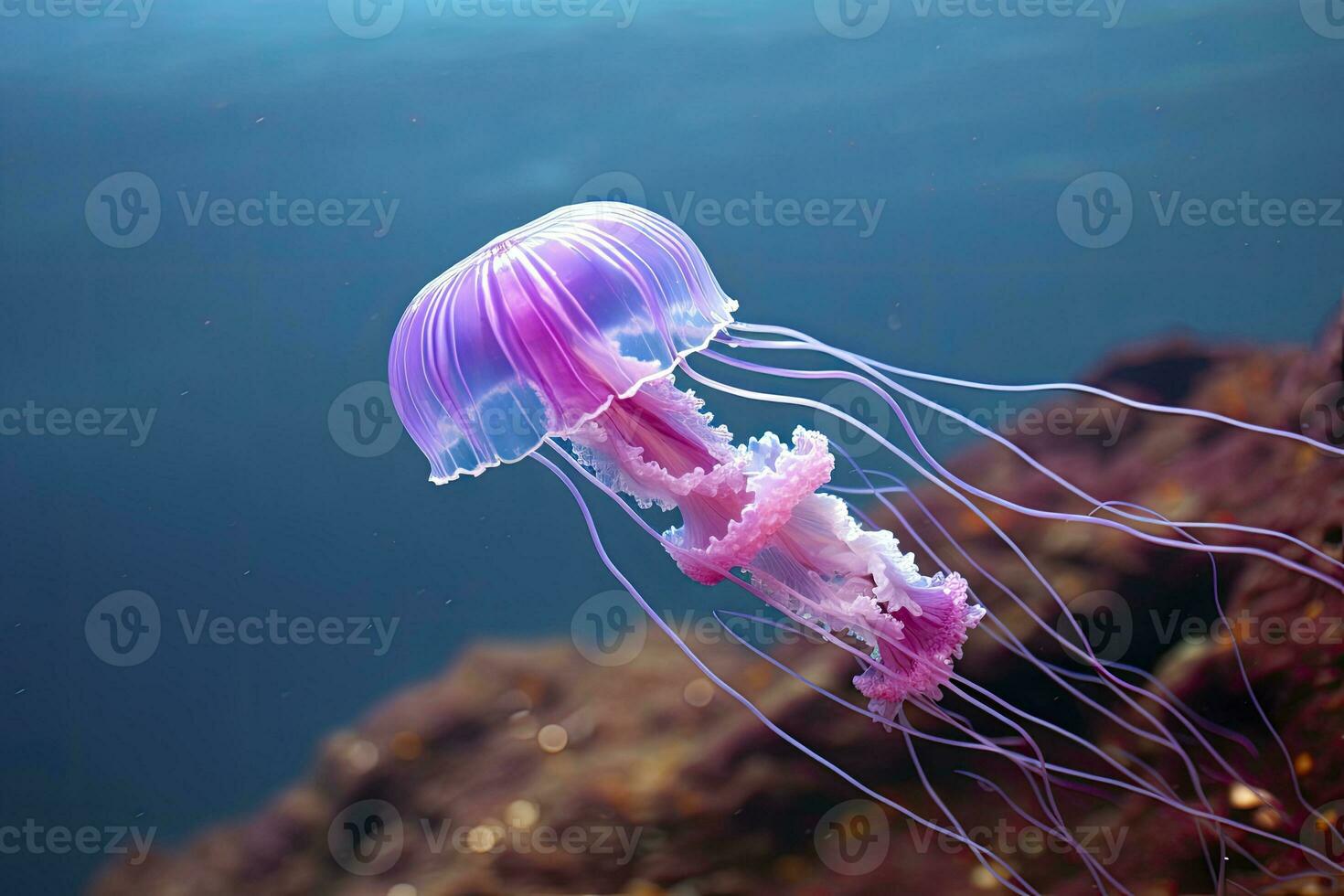 AI generated Mauve stinger purple jellyfish. AI Generated. photo