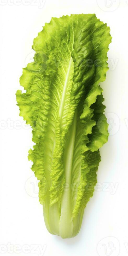 AI generated Lettuce isolated on white background. AI Generated photo