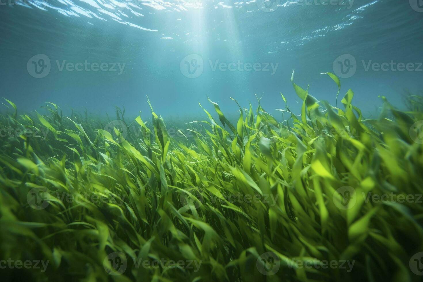 AI generated Underwater view of a group of seabed with green seagrass. AI Generated photo