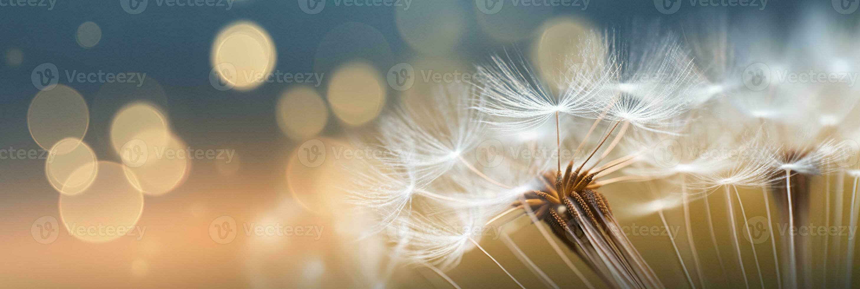 AI generated Abstract blurred nature background dandelion seeds parachute. Bokeh pattern. Generative AI photo