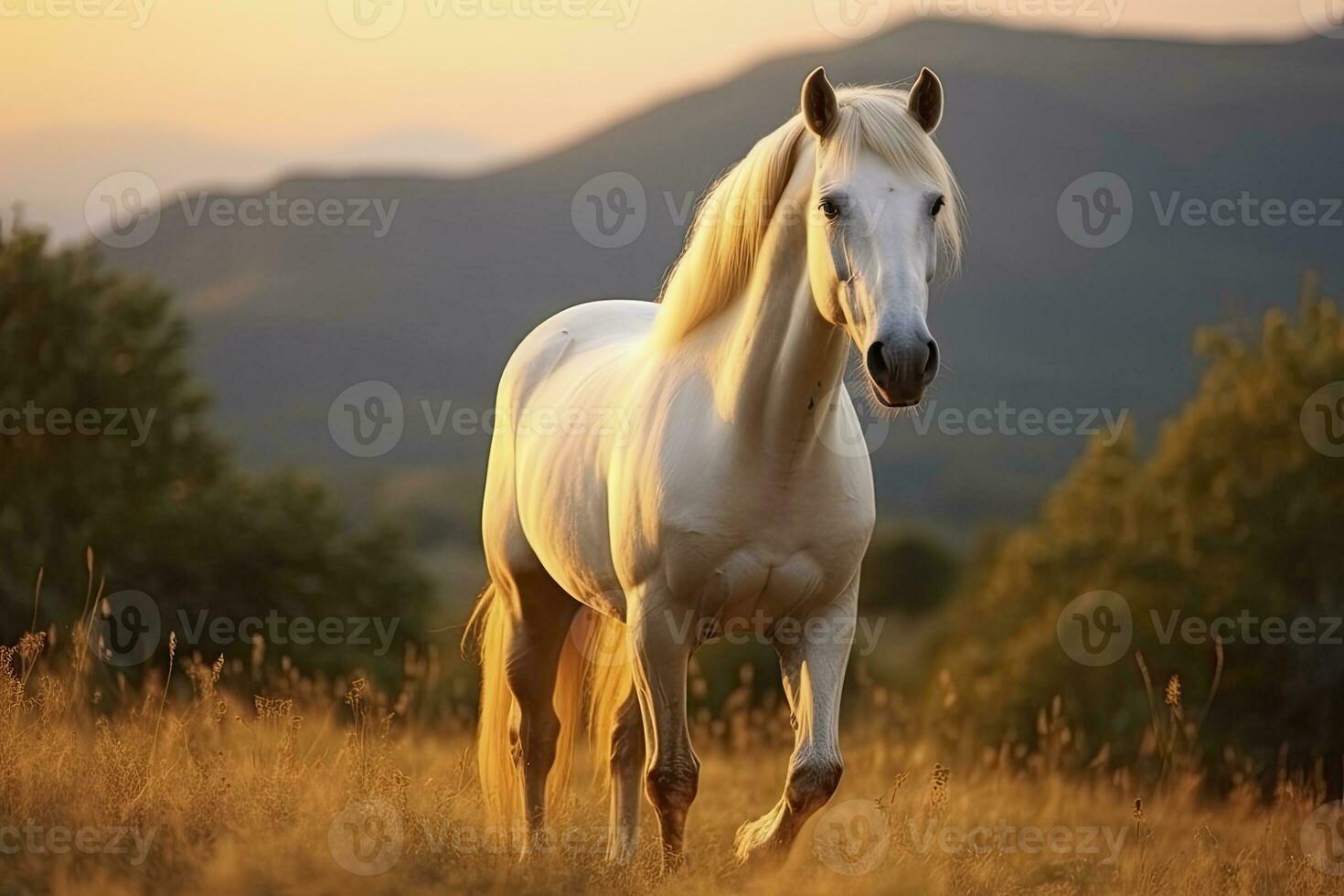 AI generated White horse or mare in the mountains at sunset. AI Generated photo