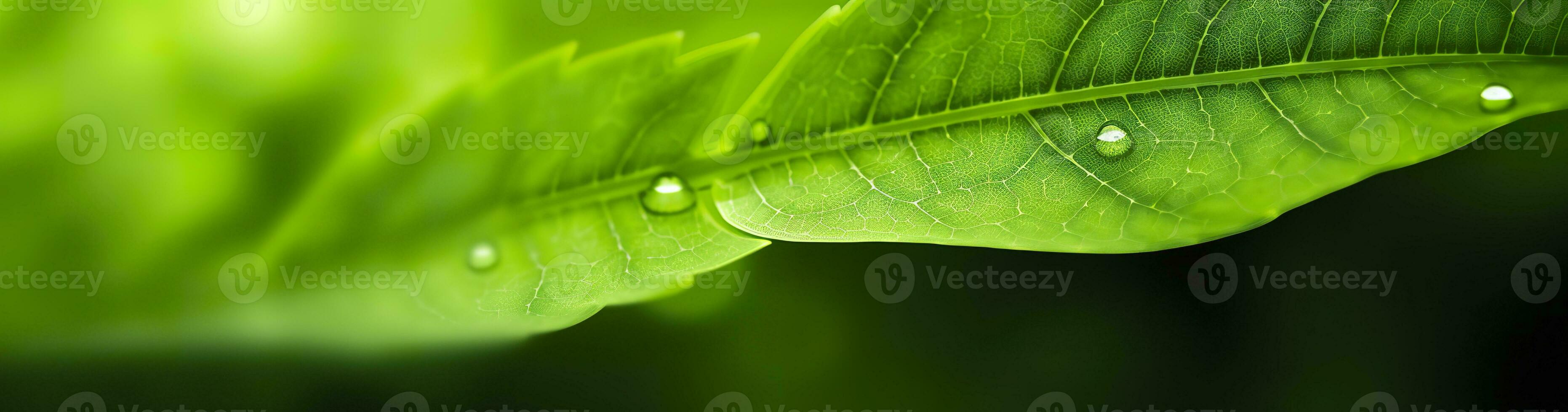 AI generated Green leaf nature background. AI Generated photo