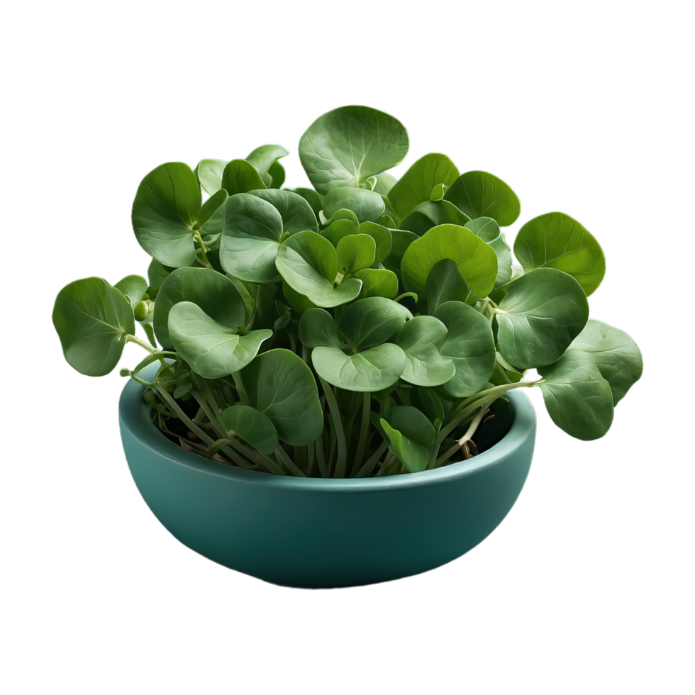 AI generated Watercress isolated on transparent background png
