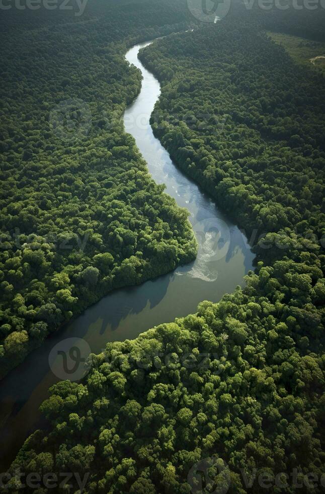 ai generado aéreo ver de el amazonas selva paisaje con río doblar. generativo ai foto