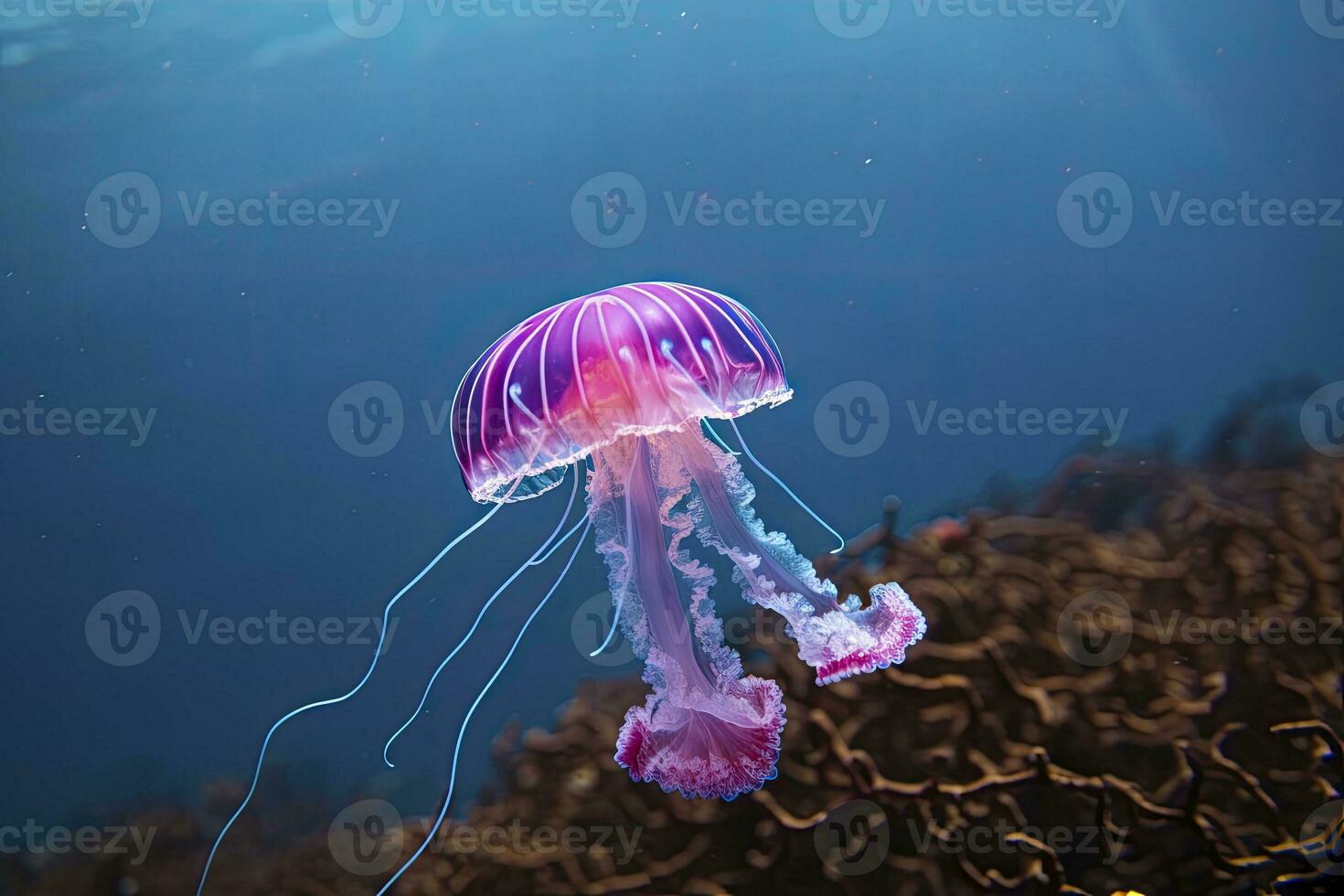 AI generated Mauve stinger purple jellyfish. AI Generated. photo