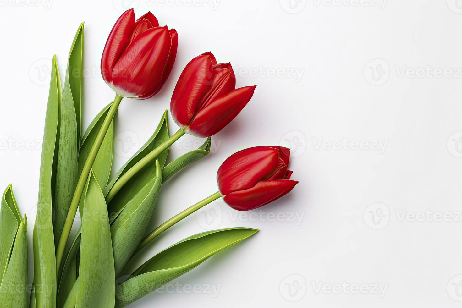 AI generated Red tulips isolated on white background. AI Generated photo