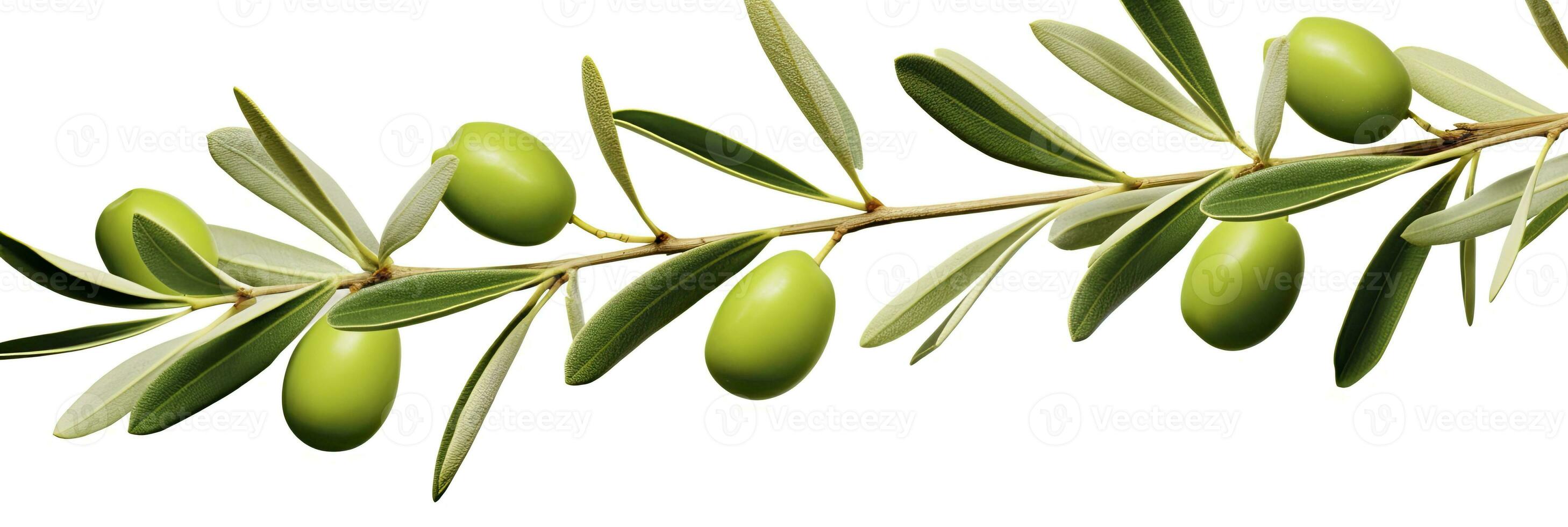 AI generated Olive tree branch, green olives and leaves on white background. AI Generated. photo