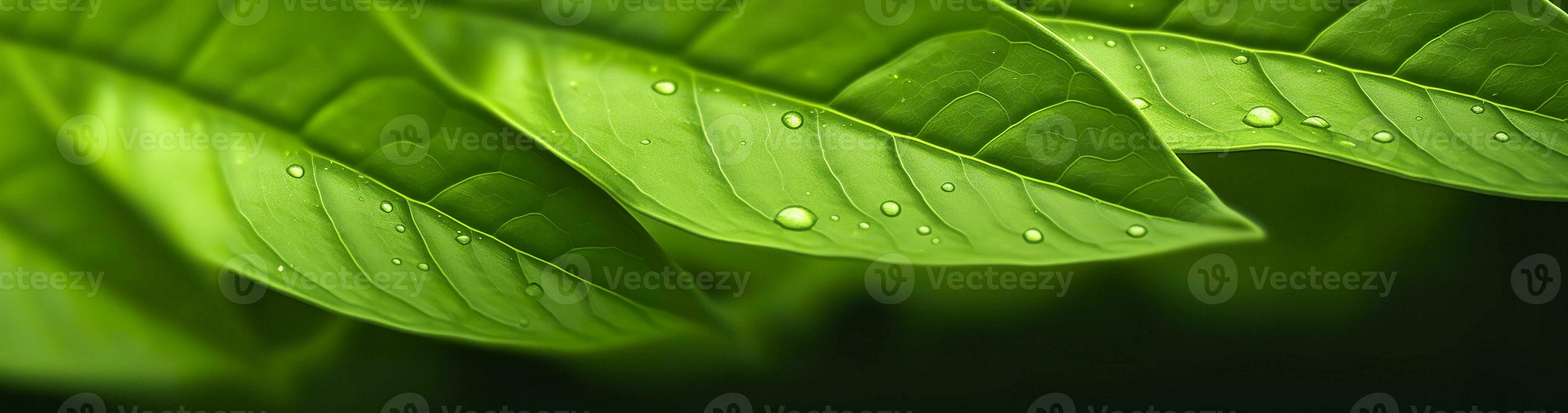 AI generated Green leaf nature background. AI Generated photo