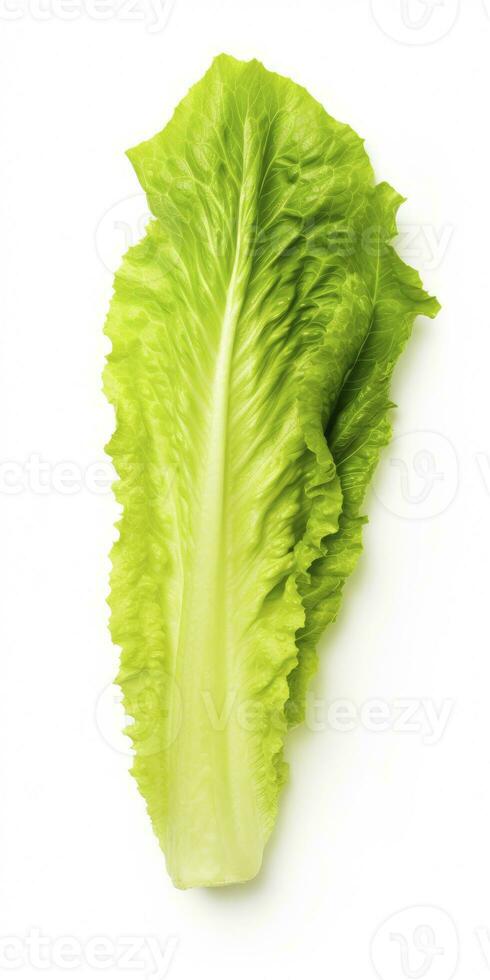 AI generated Lettuce isolated on white background. AI Generated photo