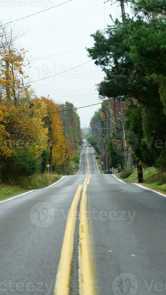 The beautiful road view with the colorful autumn trees on both sids in autumn photo