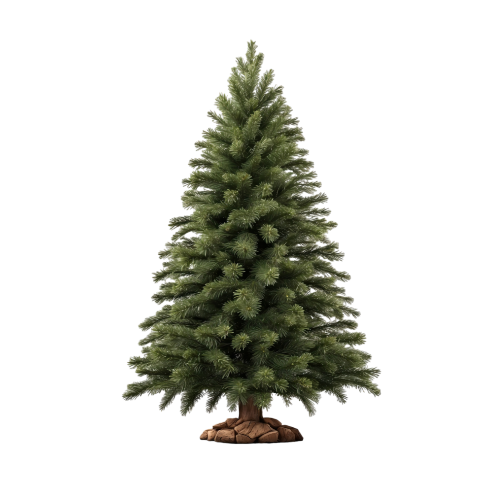 christmas tree isolated on transparent background png