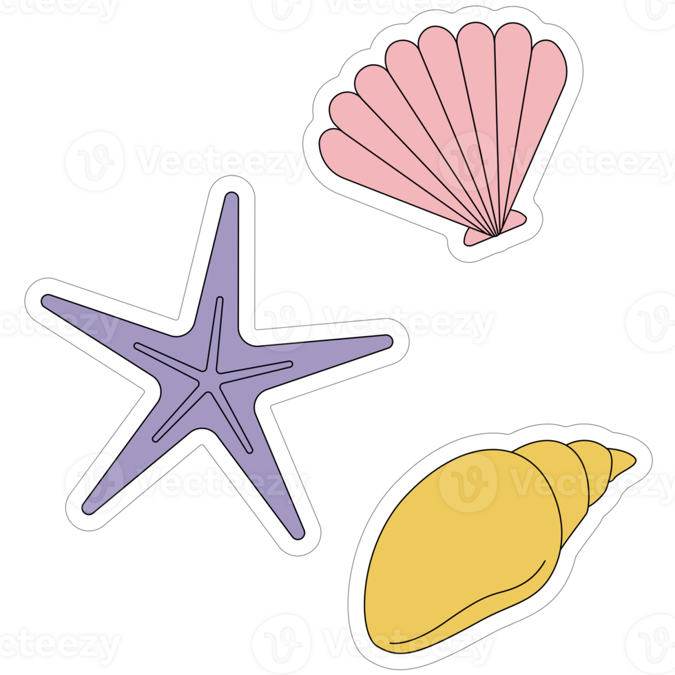 AI generated three seashells and starfish on a transparent background png