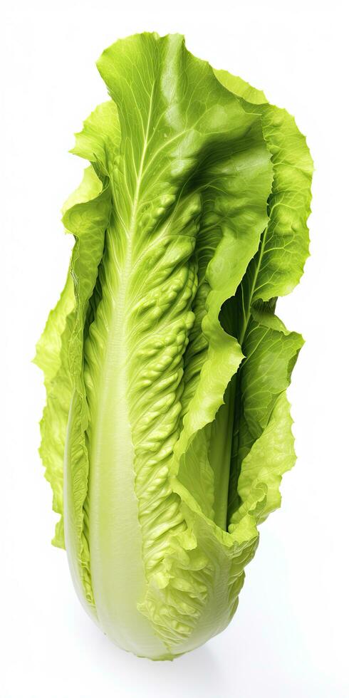 AI generated Lettuce isolated on white background. AI Generated photo