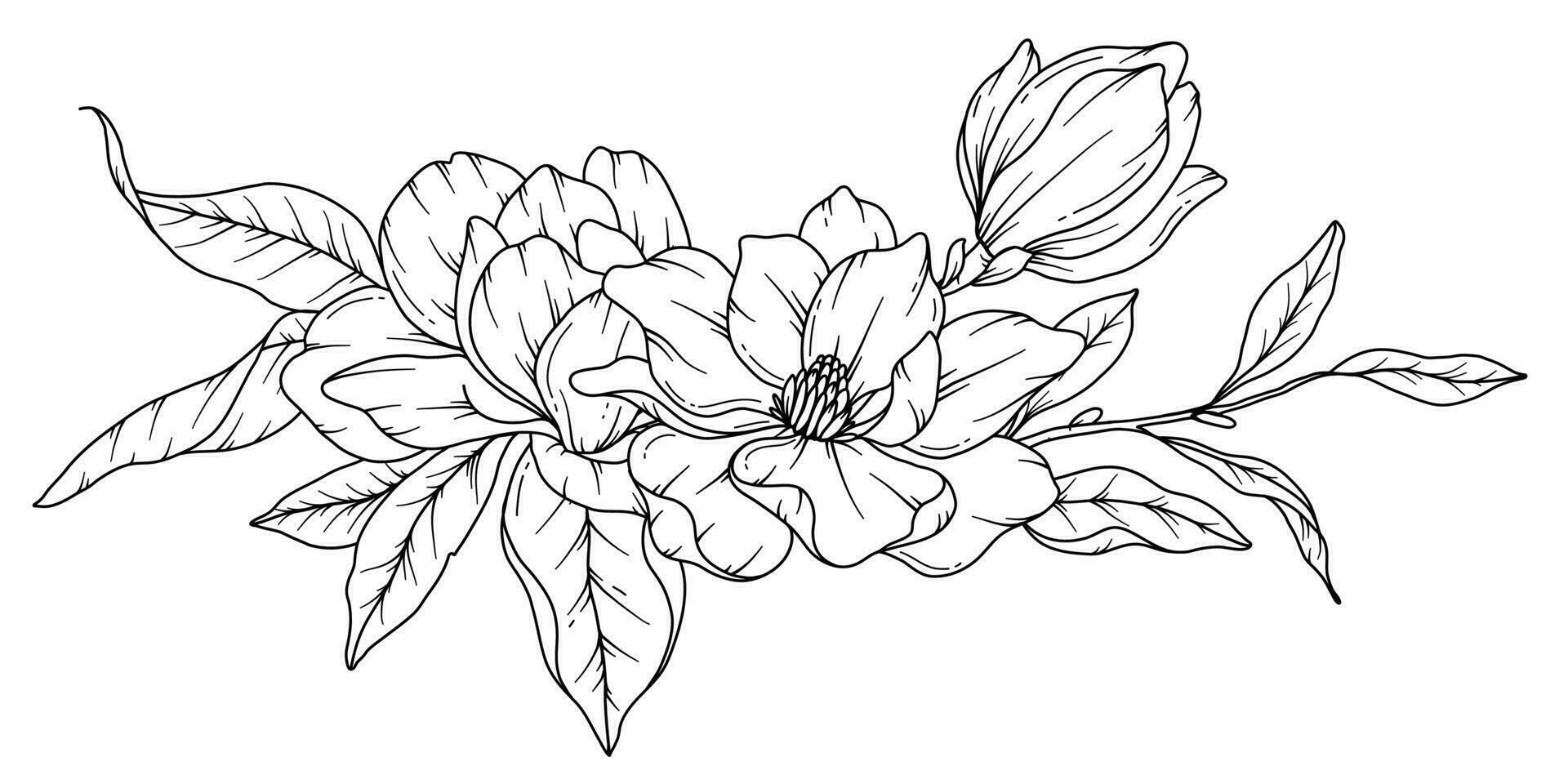 Magnolia Line Drawing. Black and white Floral Bouquets. Flower Coloring Page. Floral Line Art. Fine Line Magnolia  illustration. Hand Drawn flowers. Botanical Coloring. Wedding invitation flowers vector