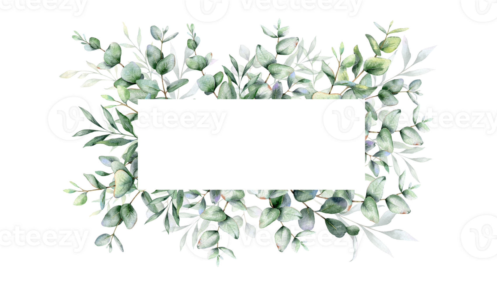 Eucalyptus Watercolor Frame. Eucalyptus Greenery Frame Hand Painted isolated on white background.  Perfect for wedding invitations, floral labels, bridal shower and  floral greeting cards png