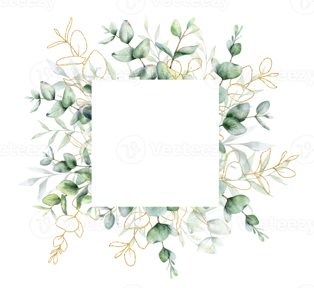 Eucalyptus Watercolor Frame. Eucalyptus Greenery Frame Hand Painted isolated on white background.  Perfect for wedding invitations, floral labels, bridal shower and  floral greeting cards png