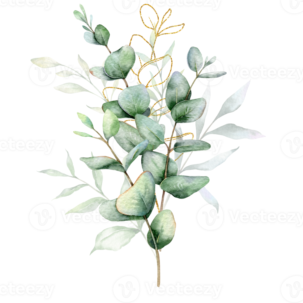 eucalyptus waterverf kader. eucalyptus groen kader hand- geschilderd geïsoleerd Aan wit achtergrond. perfect voor bruiloft uitnodigingen, bloemen etiketten, bruids douche en bloemen groet kaarten png