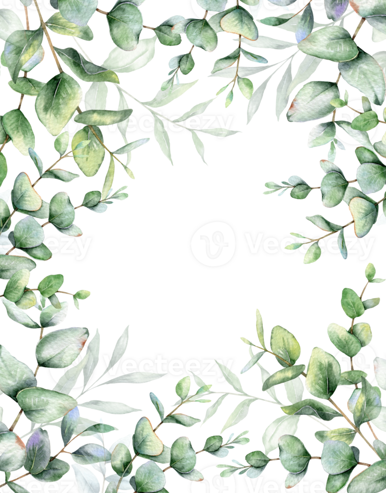 Eucalyptus Watercolor Frame. Eucalyptus Greenery Frame Hand Painted isolated on white background.  Perfect for wedding invitations, floral labels, bridal shower and  floral greeting cards png