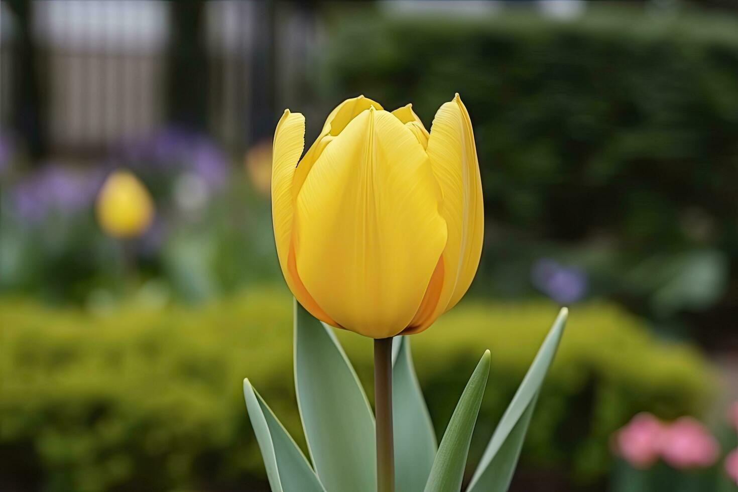 ai generado amarillo tulipán en el jardín. ai generado foto