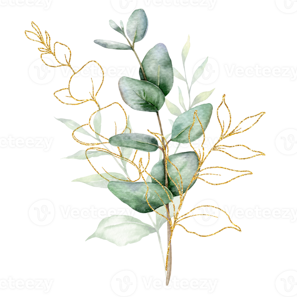 Eucalyptus Watercolor Illustration. Eucalyptus Greenery Hand Painted isolated on white background.  Perfect for wedding invitations, floral labels, bridal shower and  floral greeting cards png